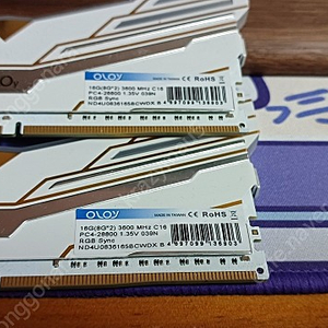 DDR4 OLOy Warhawk Platinum white 16gb (8gbx2) 3600 cl16 b다이 램