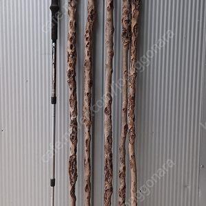 지팡이 제작용 연수목(감태나무 130cm 5개 5만원)판매