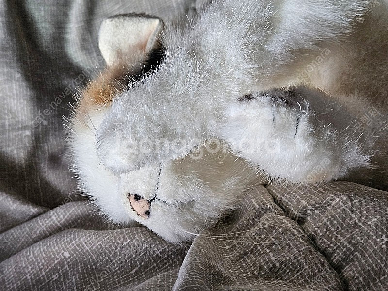 일본 치유 고양이 인형 낸시랭 고양이 인형 빈티지 고양...--1