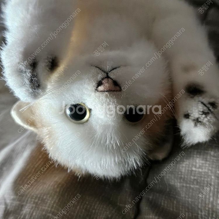 일본 치유 고양이 인형 낸시랭 고양이 인형 빈티지 고양...--2