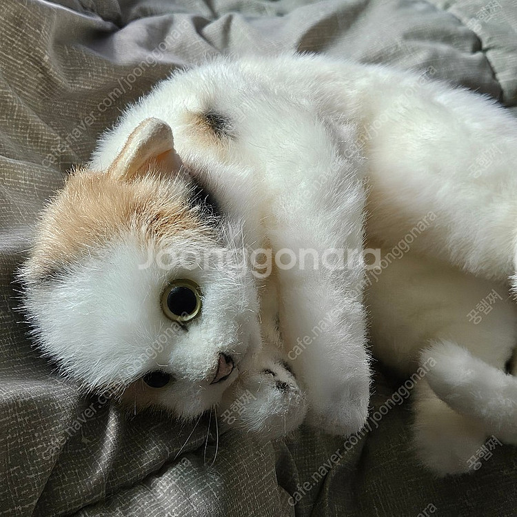 일본 치유 고양이 인형 낸시랭 고양이 인형 빈티지 고양...--0