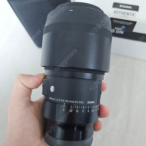 시그마 FE 105mm f2.8 macro 렌즈 팜