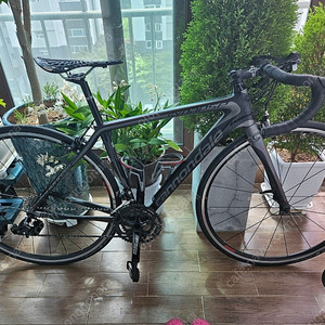 캐논데일 시냅스 카본 로드자전거
