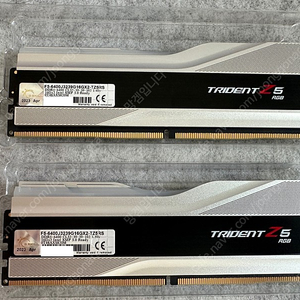 지스킬 DDR5-6400 CL32 트라이던트 Z5 32gb