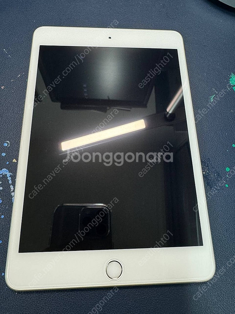 [대구] 아이패드 미니5 WIFI 256g 실버 택포 ...--1