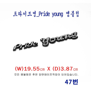 (47번) 90년대_프라이드영_Pride young 엠블럼