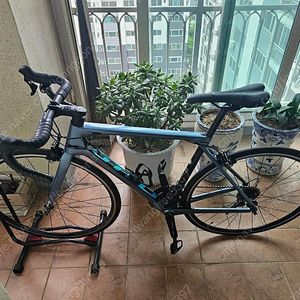 [가격조정]21년식 첼로케인 S7 카본 로드자전거 판매합니다.