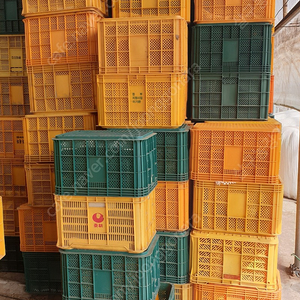 농산물상자 콘테이너 박스 플라스틱 사과 상자