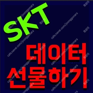 SKT데이터 2G 판매