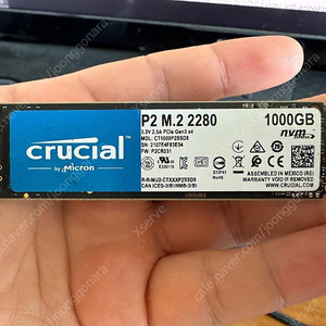 마이크론 크루셜 P2 1TB NVME