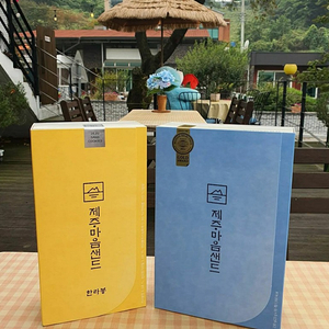 제주 마음샌드 (땅콩2+한라봉 2+배송비포함 +당일구매)