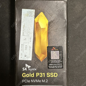 SK 하이닉스 P31 500GB