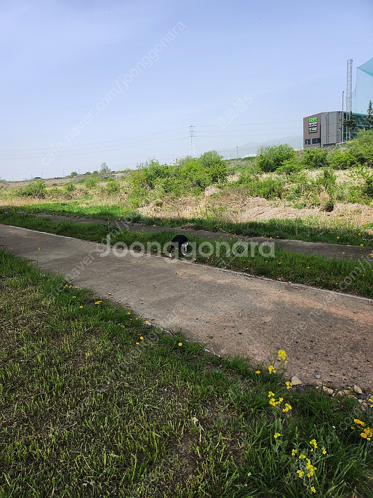 경북경산)그랜저ig 지파츠그릴 블랙 삽니다--0