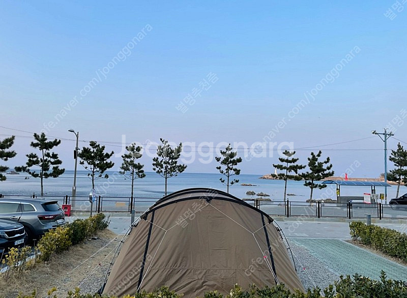 에르젠 캠핑 그래이트 소울 하우스 그소하 탄 판매--0
