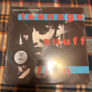 롤랜드 하워드 Rowland S. Howard – Teenage Snuff Film LP