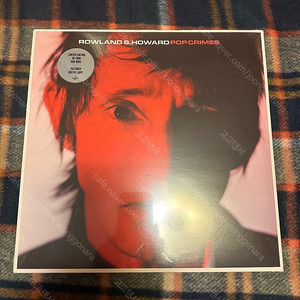 롤랜드 하워드 Rowland S. Howard – ﻿Pop Crimes﻿ LP