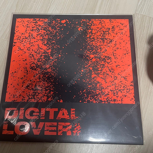 크러쉬 CRUSH 디지털러버 DIGITAL LOVER LP
