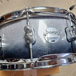 DW PDP Concept Maple Snare 14 x 5.5 스네어 판매합니다