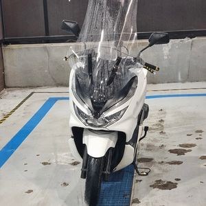 19년식 pcx