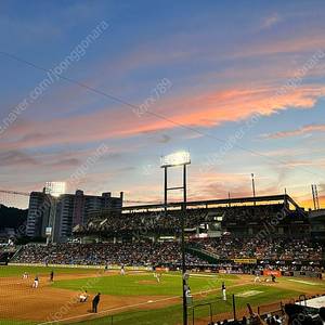 4/30 두산 vs 삼성 1루 오렌지석 티켓 구합니다