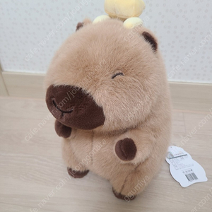 정품 카피바라 인형 25cm 새상품 7000