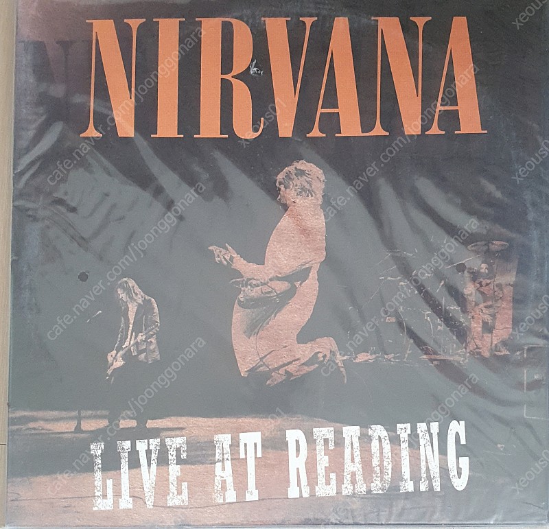 Nirvana - Live At Reading [2LP] 미개봉