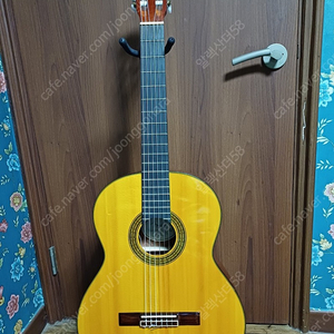 fender 클래식 탑솔리드 기타 팔아요