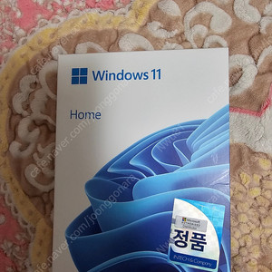 윈도우 11 Home FPP 처음사용자용 정품