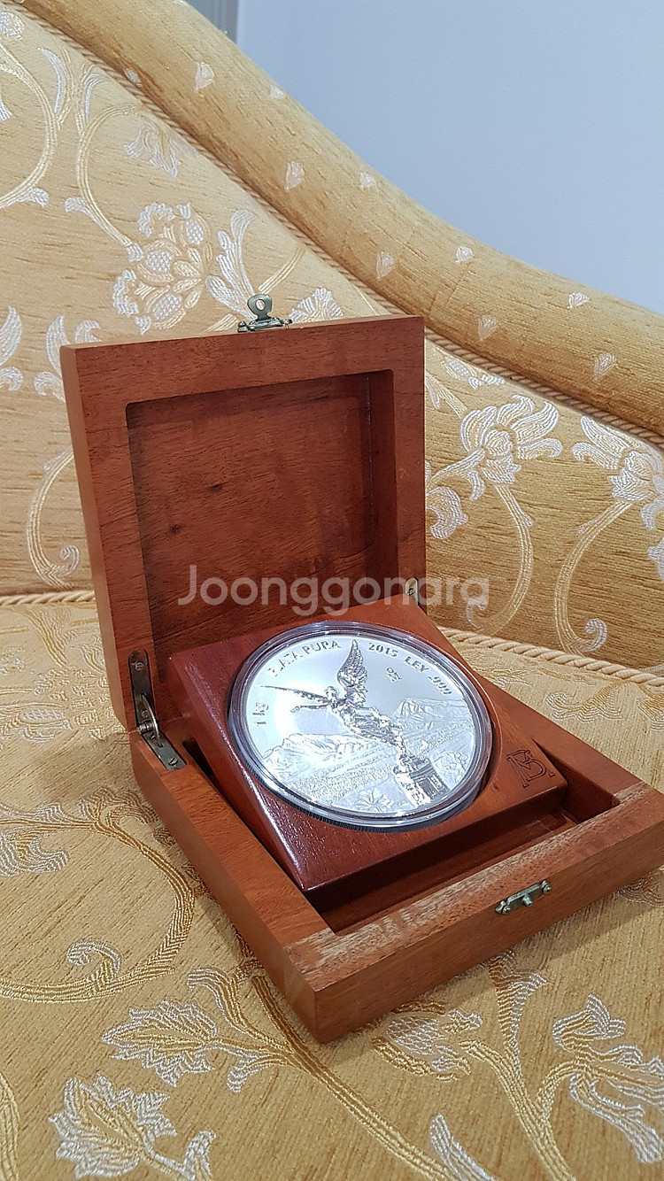 멕시코 리버타드 은화 1kg--2