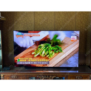 LG 올레드 65인치 OLED TV