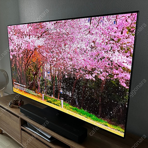 LG OLED 55인치 TV