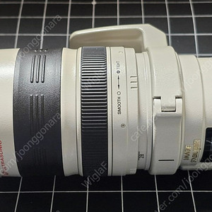 캐논 EF 28-300 mm f3.5-5.6L IS USM 할배백통(정품) 렌즈 판매합니다