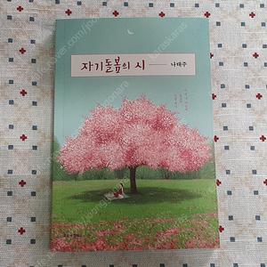 나태주 - 자기돌봄의 시 시집 새책 팝니다.