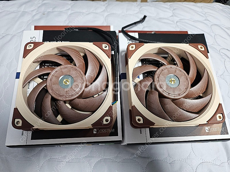 녹투아 쿨러 NOCTUA NF-A12x25 PWM 일주...--0