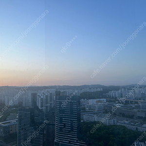 5월 1일 한화 경기 2장 삽니다 급구 내야쫃