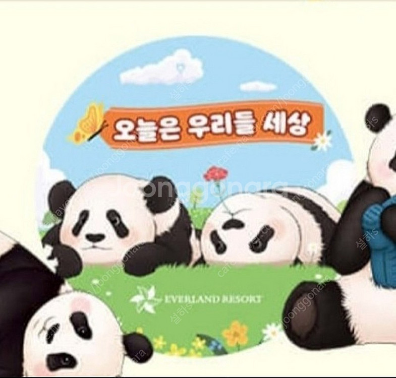 5월3일 루이후이 뱃지 5월5일 푸바오 어린이날 뱃지 ...--0