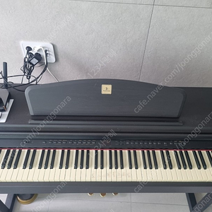 다이나톤 디지털 피아노(AMOR 7)