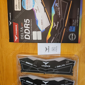 TeamGroup T-Force DDR5-6000 CL38 DELTA RGB 32GB 팝니다