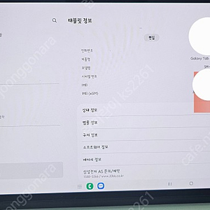 갤럭시탭 s9플러스 5g 256GB 팜