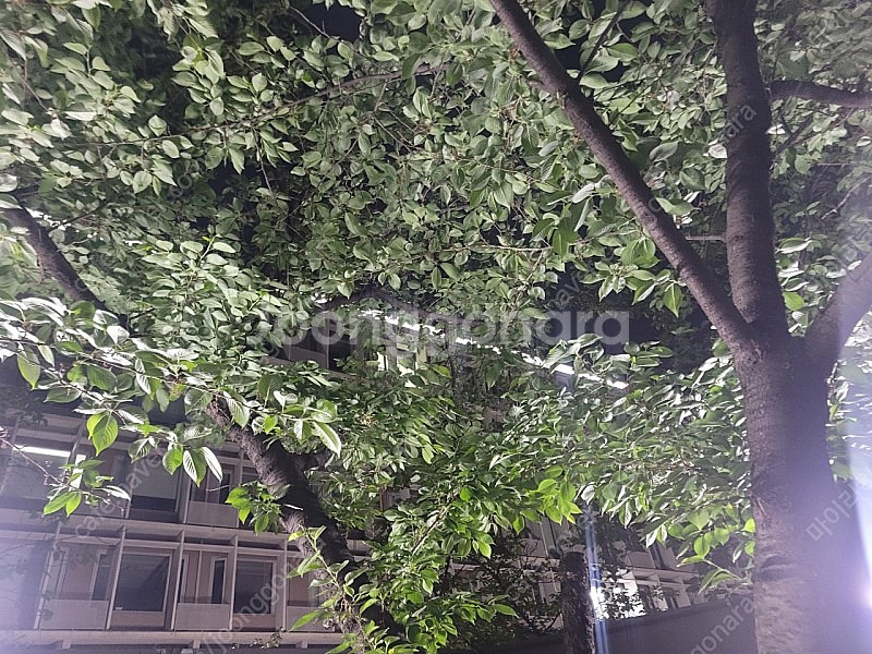 베르사체 팔각시계 검판 구매합니다.--0