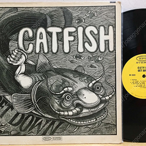 LP ; catfish - get down 캣피쉬 엘피 음반 70년대 블루스 락 blues rock