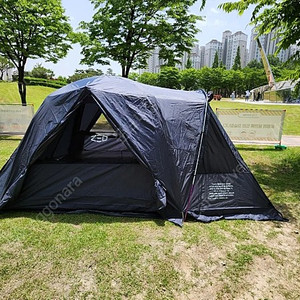 제드 아그네스 돔3 텐트판매