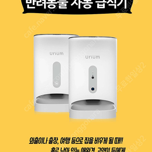 Urium 반려동물 자동 급식기 새제품 팝니다.