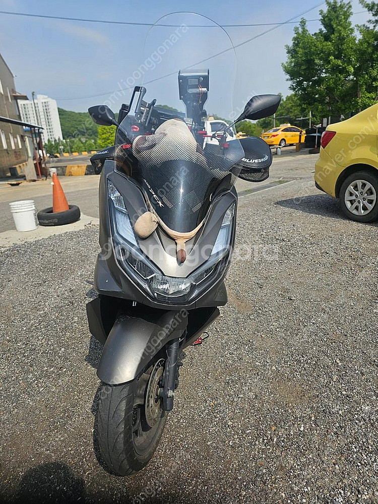 pcx125. 5개월탄차량팝니다--4