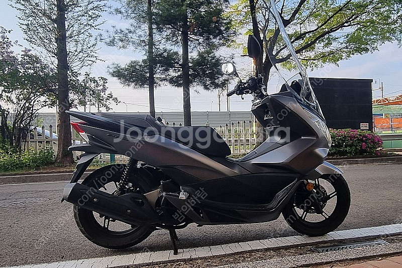혼다 PCX 125 2018년식 출퇴근용 3M 랩핑 팝...--2