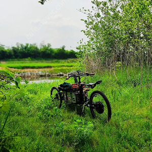 리버스트라이크카고전기자전거 밧데리 선택