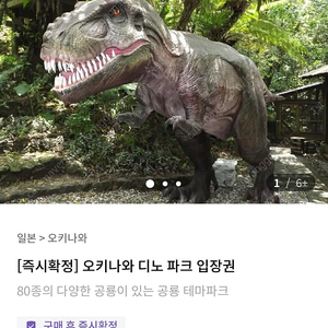 오키나와 디노파크 티켓 4매