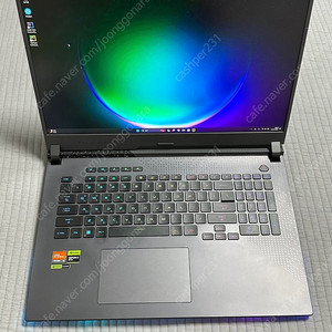 ASUS 로그 스트릭스 17인치 게이밍 노트북 ( RTX4060 7845HX QHD RTX 4060 , 에이수스 ROG STRIX G713PV LL053 )