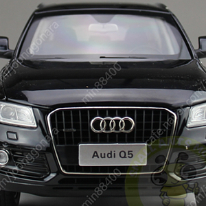 Paudi MODEL Audi Q5 1:18 (Black)