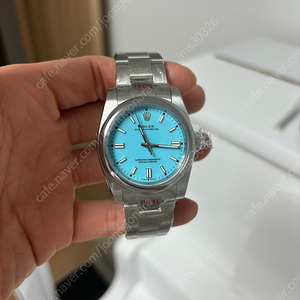 오이스터 퍼페츄얼 36mm 민트